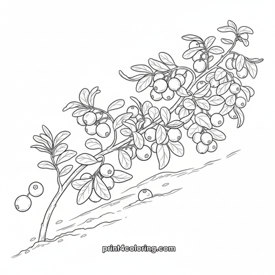 Crimson Jewels: A Detailed Cranberry Bush - free printable coloring page
