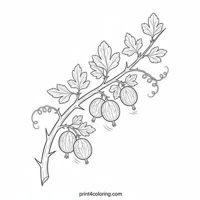 Thorny Gooseberry Treasure Branch - free printable coloring page