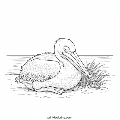 Adorable Baby Pelican's Peaceful Nap - free printable coloring page