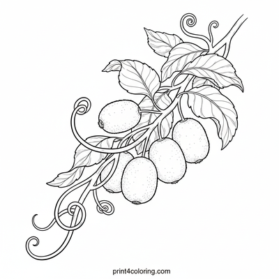 Detailed Kiwi Fruit Adventure