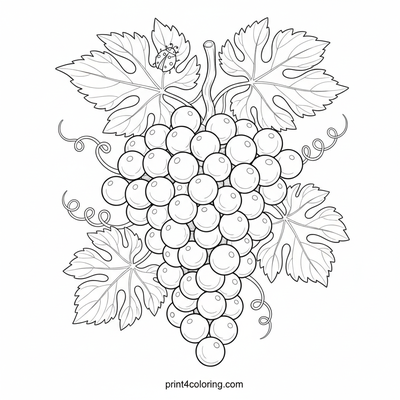 Bountiful Grapevine Cluster: Nature's Sweet Art - free printable coloring page