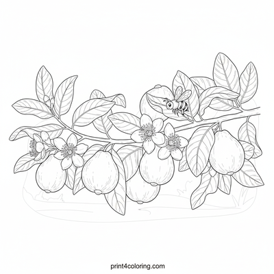 Guava Harvest Delight - free printable coloring page