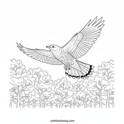 Majestic Cuckoo's Forest Flight - free printable coloring page