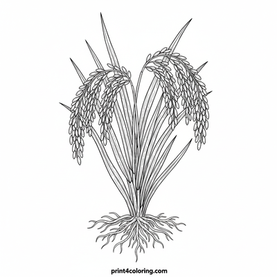 Botanical Beauty: A Rice Plant Close-Up - free printable coloring page