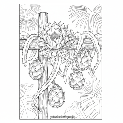 Exquisite Dragon Fruit Botanical Study - free printable coloring page
