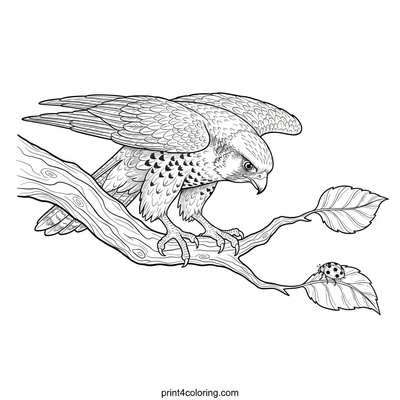 Curious Falcon's Tiny Discovery - free printable coloring page