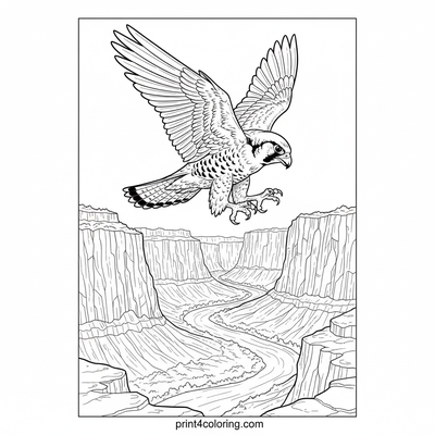 Peregrine's Canyon Plunge - free printable coloring page