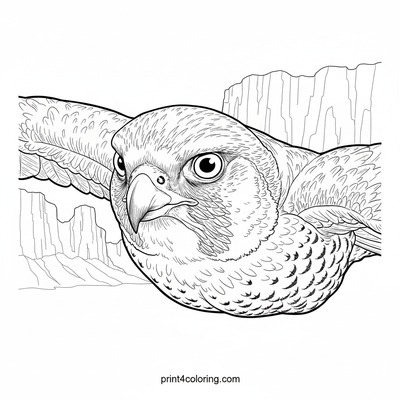 Peregrine Falcon's Canyon Dive - free printable coloring page