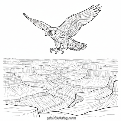 Falcon's Majestic Dive: Canyon Hunter - free printable coloring page