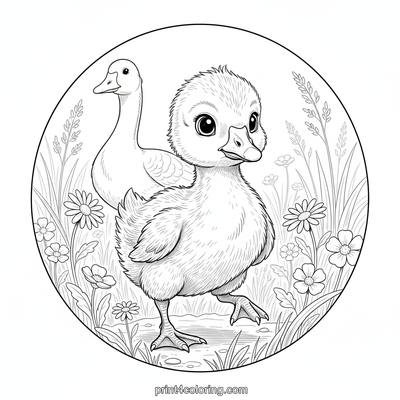 Gosling's Wildflower Wonderland - free printable coloring page