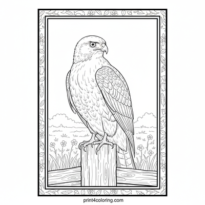 Regal Hawk: Meadow Lookout - free printable coloring page