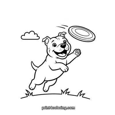 Leaping Joy: Pitbull's Frisbee Catch