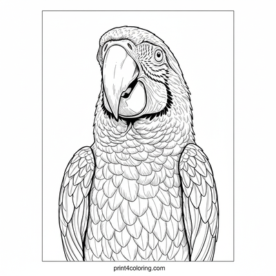 Soaring Macaw Masterpiece - free printable coloring page