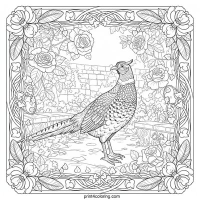 Pheasants coloring pages preview