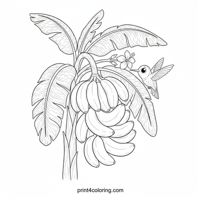 Sweet Banana Harvest & Hummingbird Friend - free printable coloring page