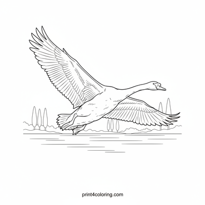 Majestic Swan's Sky Dance - free printable coloring page